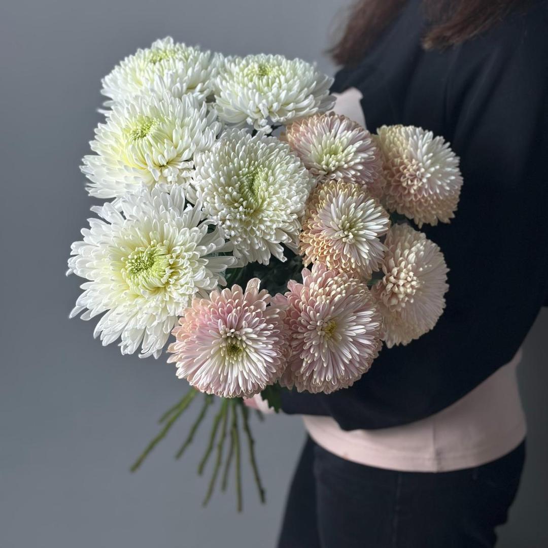 Хризантема одноголовая